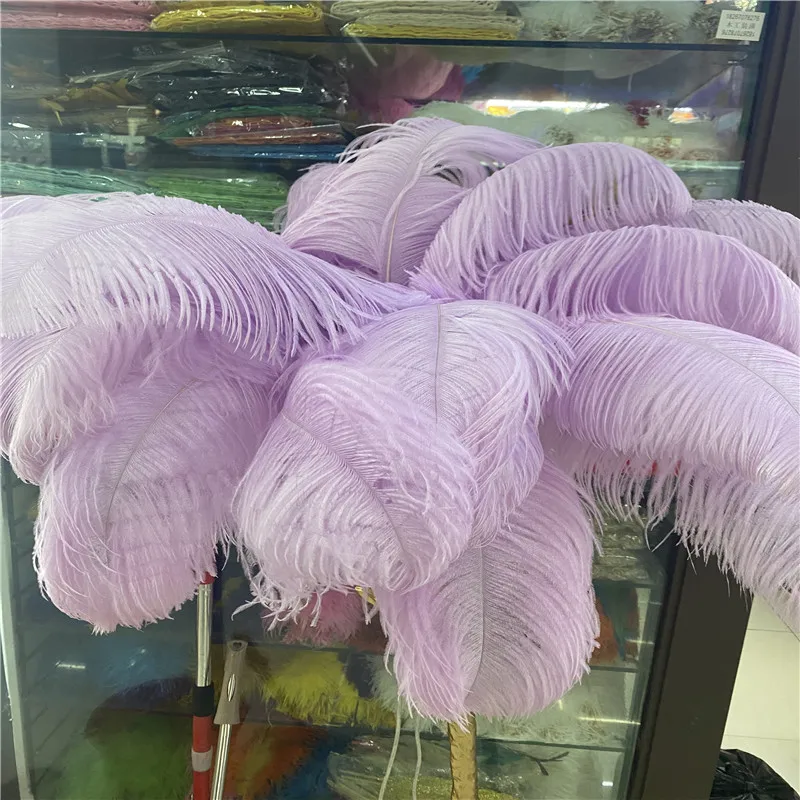 Promotion 100pcs/lot Beautiful Light Purple Ostrich Feather 45-50cm/18-20inch Home Party Jewelry Diy Craft Feathers for Crafts
Promotion 100pcs/lot Beautiful Light Purple Ostrich Feather 45-50cm/18-20inch Home Party Jewelry Diy Craft Feathers for Crafts