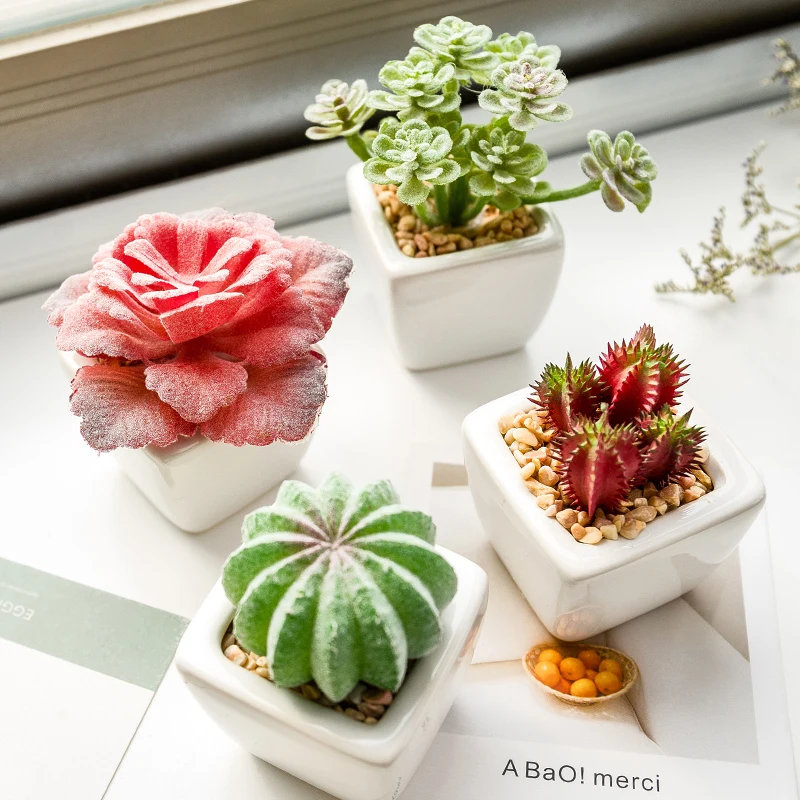 Nordic office simulation plant small potted ornaments succulent cactus ball fake flowers and green plants photo props Home Decor
Nordic office simulation plant small potted ornaments succulent cactus ball fake flowers and green plants photo props Home Decor