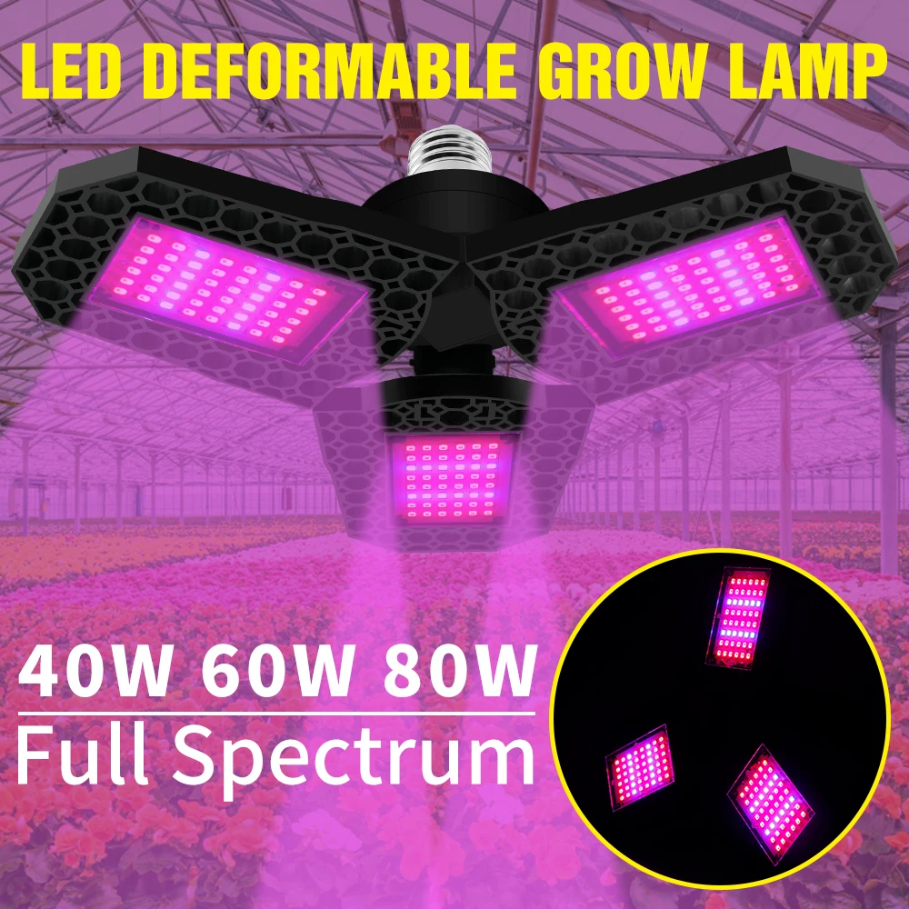 Indoor Led Plant Grow Light 40W 60W 80W Full Spectrum LED Phyto Lamp E27 Seed Lights 220V Fitolampy LED Hydroponics Growth Box
Indoor Led Plant Grow Light 40W 60W 80W Full Spectrum LED Phyto Lamp E27 Seed Lights 220V Fitolampy LED Hydroponics Growth Box