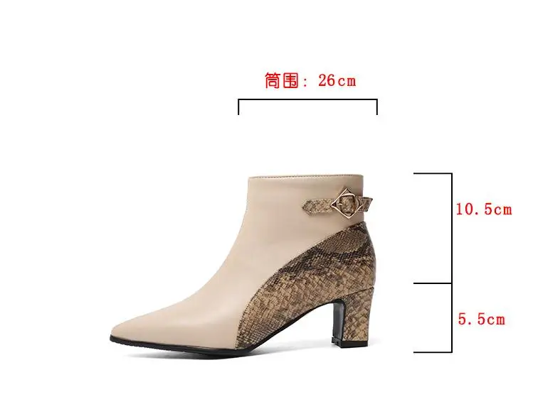 Ankle Boots Women Buckle Strap Zipper Thick Heels Fashion Office Women Winter Shoes Snake Print Ladies Boots
Ankle Boots Women Buckle Strap Zipper Thick Heels Fashion Office Women Winter Shoes Snake Print Ladies Boots