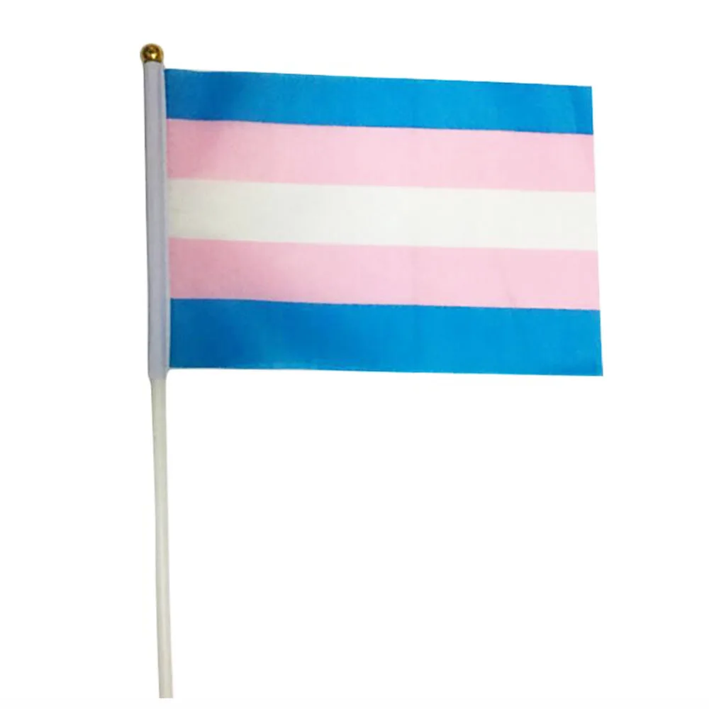 5 шт. 14*21 см Радуга гей гордость маленький Национальный флаг ручной развевающиеся