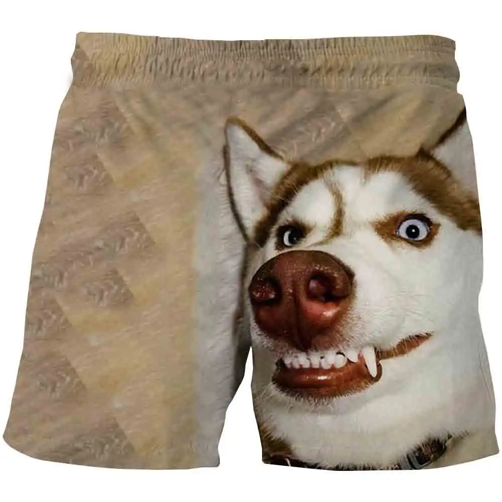 Boys Shorts For Kids Funny Cute Dog Shorts Children Summer Beach Loose Shorts Casual Pants Cartoon Comfortable Shorts 4-14Yrs
Boys Shorts For Kids Funny Cute Dog Shorts Children Summer Beach Loose Shorts Casual Pants Cartoon Comfortable Shorts 4-14Yrs