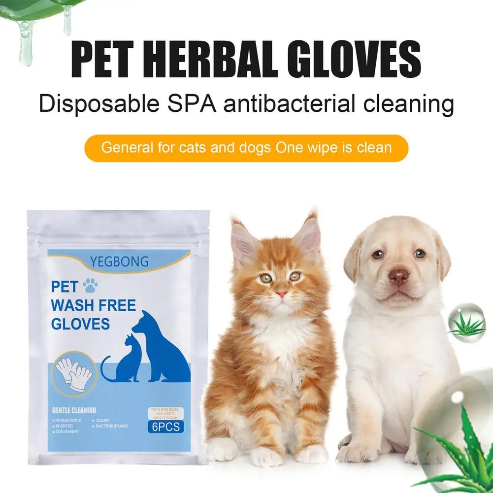 6Pcs/Pack Pet No Washing Gloves Soft Eye Wipes for Dogs and Cats Stain Remover Non-Woven Fabric Gloves Pet Cleaning Grooming
6Pcs/Pack Pet No Washing Gloves Soft Eye Wipes for Dogs and Cats Stain Remover Non-Woven Fabric Gloves Pet Cleaning Grooming