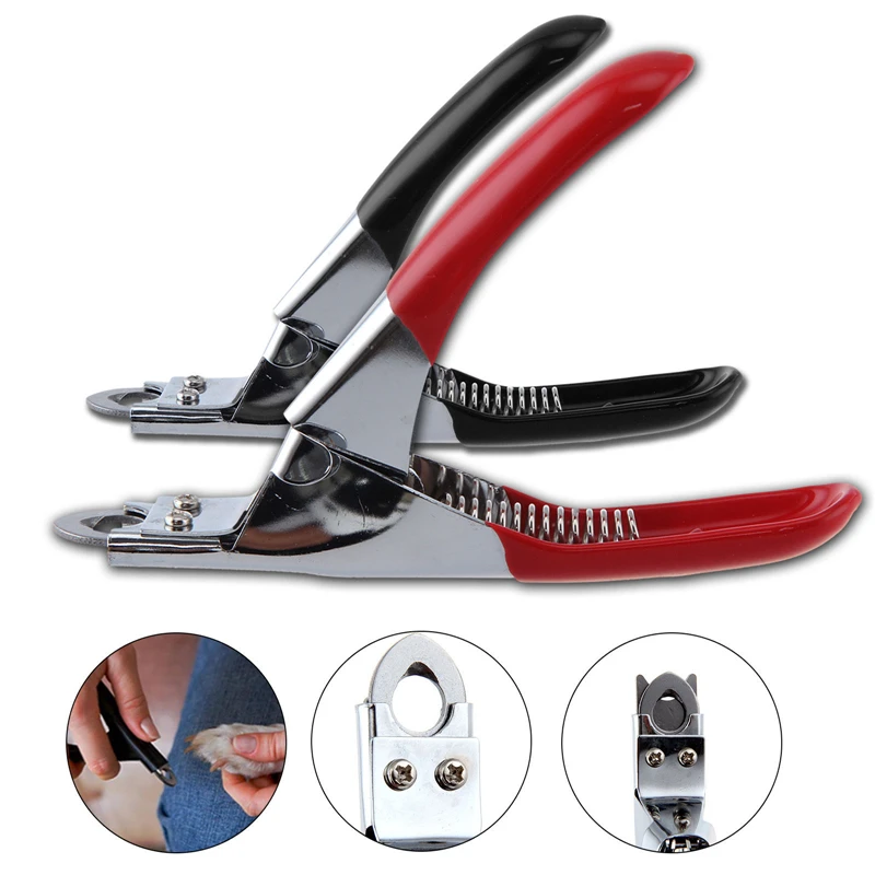 2021 Newest Arrival Dog Cat Professional Stainless Steel Claw Nail Clippers Trimmer Pet Puppy Toe Grooming Scissor
2021 Newest Arrival Dog Cat Professional Stainless Steel Claw Nail Clippers Trimmer Pet Puppy Toe Grooming Scissor