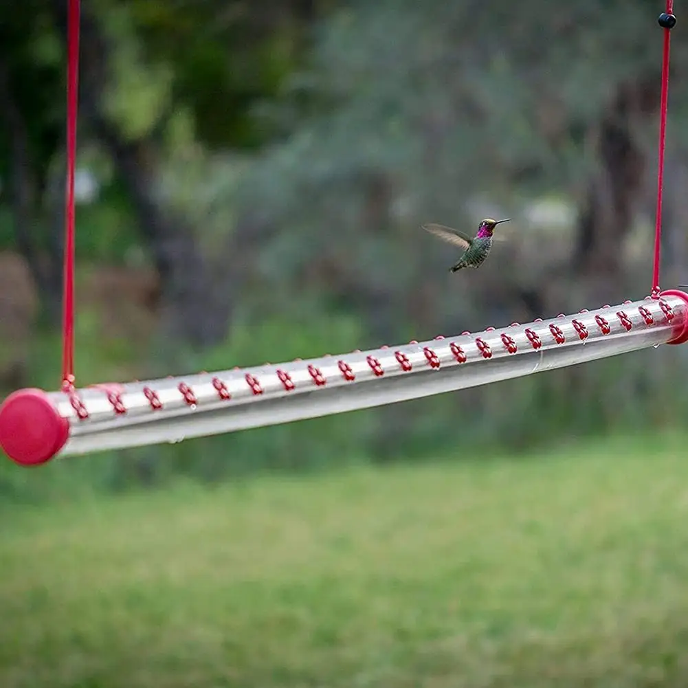 Hummingbird Feeder With Hole Feeding Pipes Birds Easy Long Hanging Tube Gardening Use Tools To Bird Feeder Red S5U5
Hummingbird Feeder With Hole Feeding Pipes Birds Easy Long Hanging Tube Gardening Use Tools To Bird Feeder Red S5U5