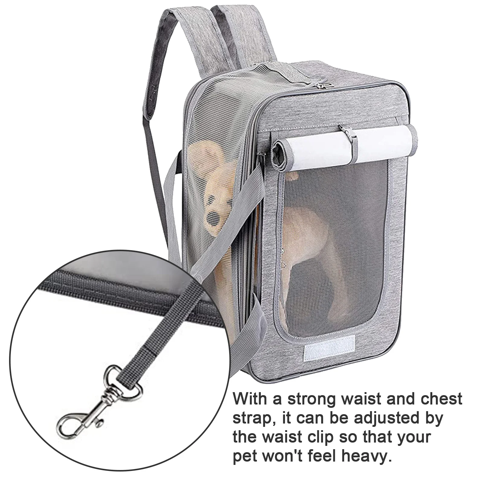 Pet Carrier Backpack For Cats And Dogs Up To 6.8kg Travel Carrying Storage Bags For Pets in Hiking Walking Cycling Outdoor
Pet Carrier Backpack For Cats And Dogs Up To 6.8kg Travel Carrying Storage Bags For Pets in Hiking Walking Cycling Outdoor