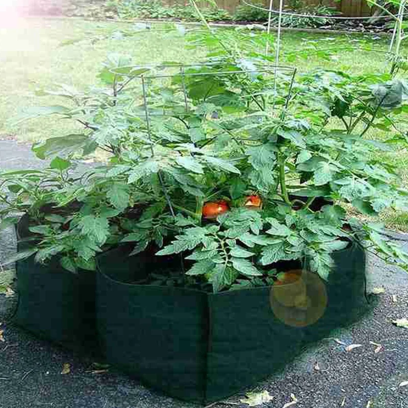 Garden Vegetable Planting Bag-4 Grid Square Garden Planting Bag for Outdoor Fragrant Flower Vegetable Planting 2 Packs
Garden Vegetable Planting Bag-4 Grid Square Garden Planting Bag for Outdoor Fragrant Flower Vegetable Planting 2 Packs