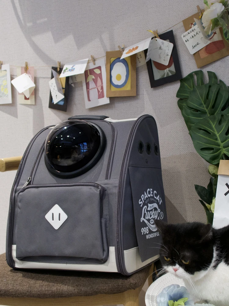 Сумка для кошек, переносная, зимняя, теплая, школьная сумка для щенков, собак 
Сумка для кошек, переносная, зимняя, теплая, школьная сумка для щенков, собак