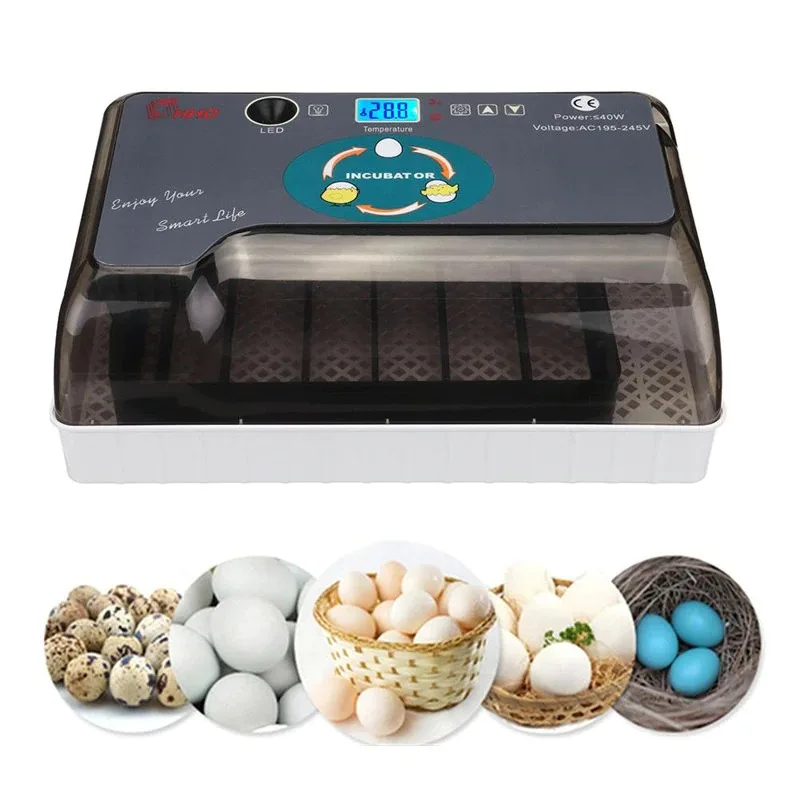 Best egg incubator Automatic Brooder Farm Chick Hatchery machine Digital 4-35 egg incubator Hatcher for goose chicken quail
Best egg incubator Automatic Brooder Farm Chick Hatchery machine Digital 4-35 egg incubator Hatcher for goose chicken quail