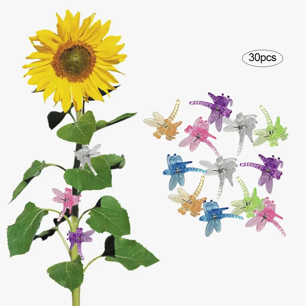 Plant Vines Flower Stem Clips Orchid Clips Garden Plant Grafting Clamp Garden Support Clips For Home Garden Plants Flower
Plant Vines Flower Stem Clips Orchid Clips Garden Plant Grafting Clamp Garden Support Clips For Home Garden Plants Flower