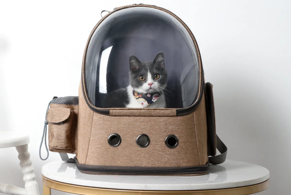 Cat Carrier Bag Space Pet Backpack Breathable Portable Cat Bag Outdoor Travel Backpack For Cat Dog Double Shoulder New
Cat Carrier Bag Space Pet Backpack Breathable Portable Cat Bag Outdoor Travel Backpack For Cat Dog Double Shoulder New