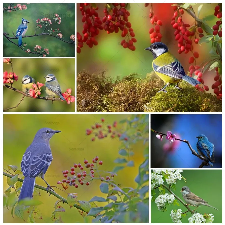 Colorful Nature Little Birds 5D Diy Full Square and Round Diamond Painting Embroidery Cross Stitch Kit Wall Art Home Decor
Colorful Nature Little Birds 5D Diy Full Square and Round Diamond Painting Embroidery Cross Stitch Kit Wall Art Home Decor
