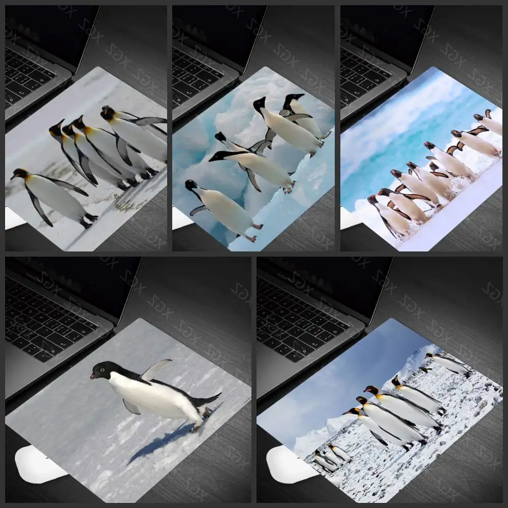 Yzuoan Antarctic Cute Penguin Mouse Pad 220X180mm Computer Pad Big Sale Cheapest Rubber Desk Keyboard Pad Soft Mouse Pad
Yzuoan Antarctic Cute Penguin Mouse Pad 220X180mm Computer Pad Big Sale Cheapest Rubber Desk Keyboard Pad Soft Mouse Pad