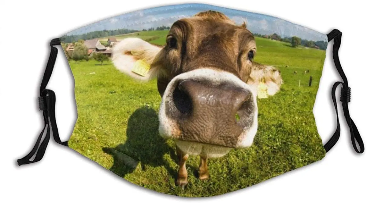 Creative Cow's Big Nose Unisex Mask Indoor Outdoor Cycling Camping Travel Windproof Sun Anti Dust Mask Mouth With Adjustable Ear
Creative Cow's Big Nose Unisex Mask Indoor Outdoor Cycling Camping Travel Windproof Sun Anti Dust Mask Mouth With Adjustable Ear