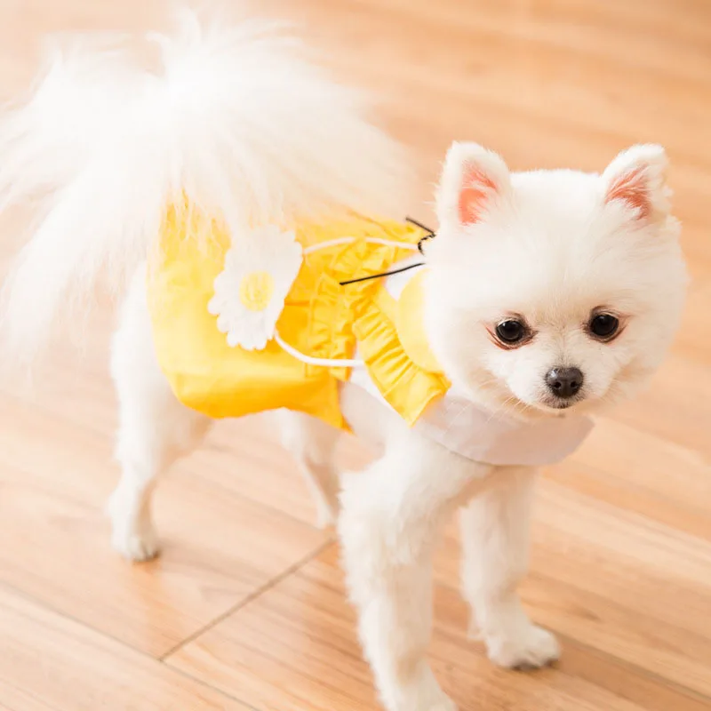 Pet Clothes Summer Thin Cute Puppy Clothes Spring Princess Suitable for Small Dogs Teddy Puppy Vest Cat Skirt Pet Clothing
Pet Clothes Summer Thin Cute Puppy Clothes Spring Princess Suitable for Small Dogs Teddy Puppy Vest Cat Skirt Pet Clothing