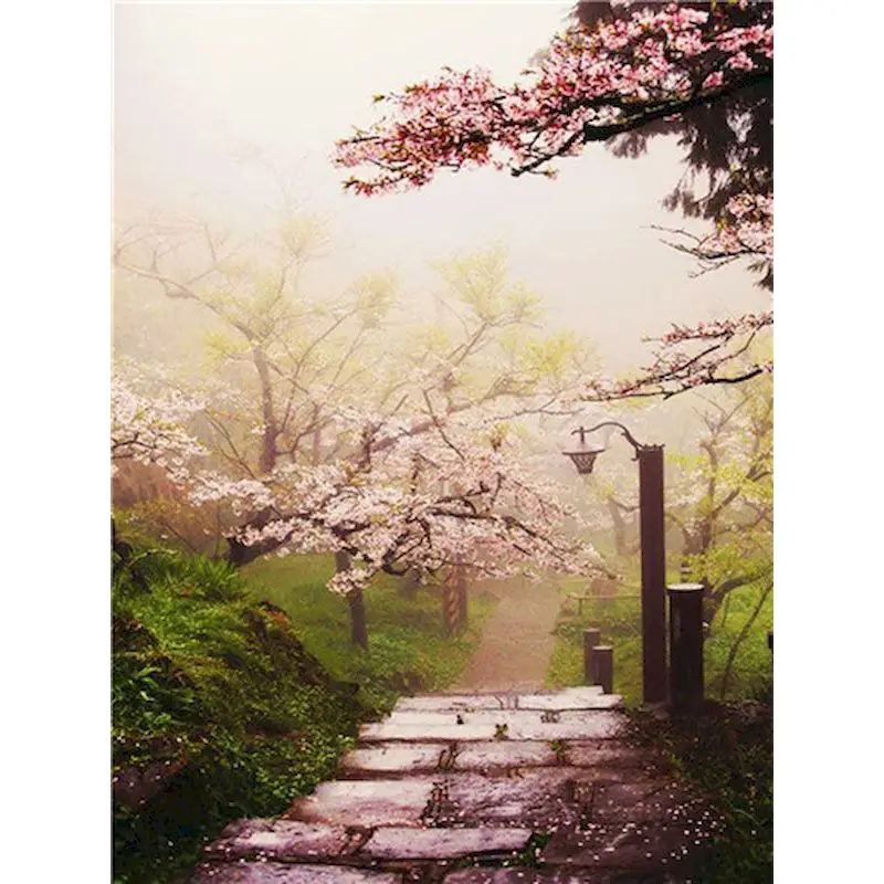 Gatyztory Diy Painting By Numbers Cherry Blossom Trail Canvas Drawing Landscape Handpainted Gift Frame Wall Decor 
Gatyztory Diy Painting By Numbers Cherry Blossom Trail Canvas Drawing Landscape Handpainted Gift Frame Wall Decor