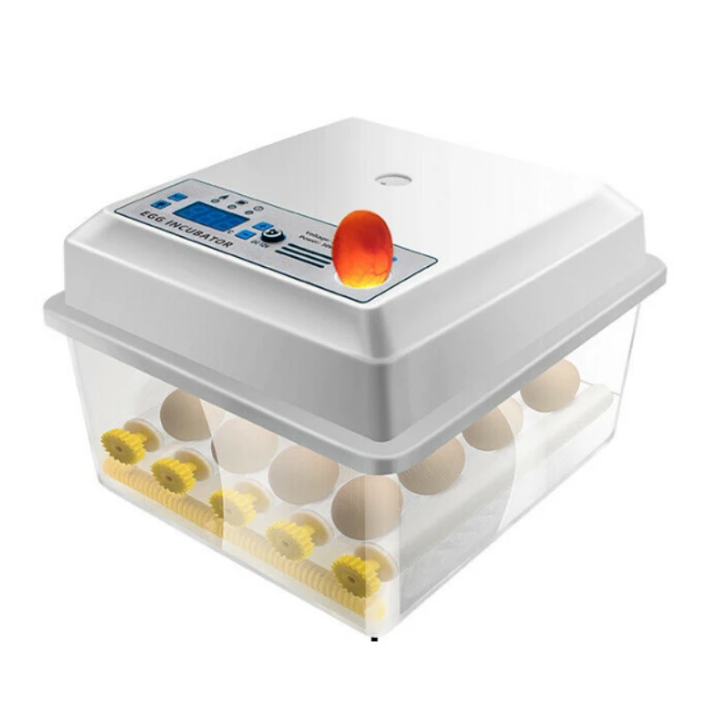 Automatic 16 Eggs Incubator Mini Brooder Small Chicken Bird Egg Incubator Automatic Farm Incubation Tool 2021 New
Automatic 16 Eggs Incubator Mini Brooder Small Chicken Bird Egg Incubator Automatic Farm Incubation Tool 2021 New
