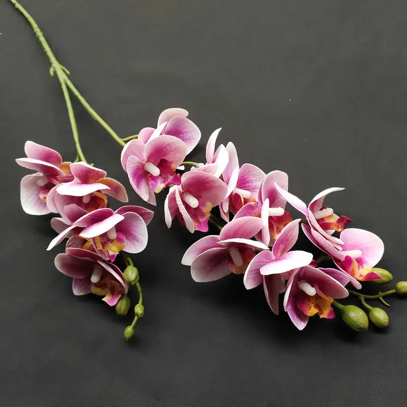 16heads Simulation Phalaenopsis Home Decoration Furnishing Garden Decoration Photographic Photography Props
16heads Simulation Phalaenopsis Home Decoration Furnishing Garden Decoration Photographic Photography Props
