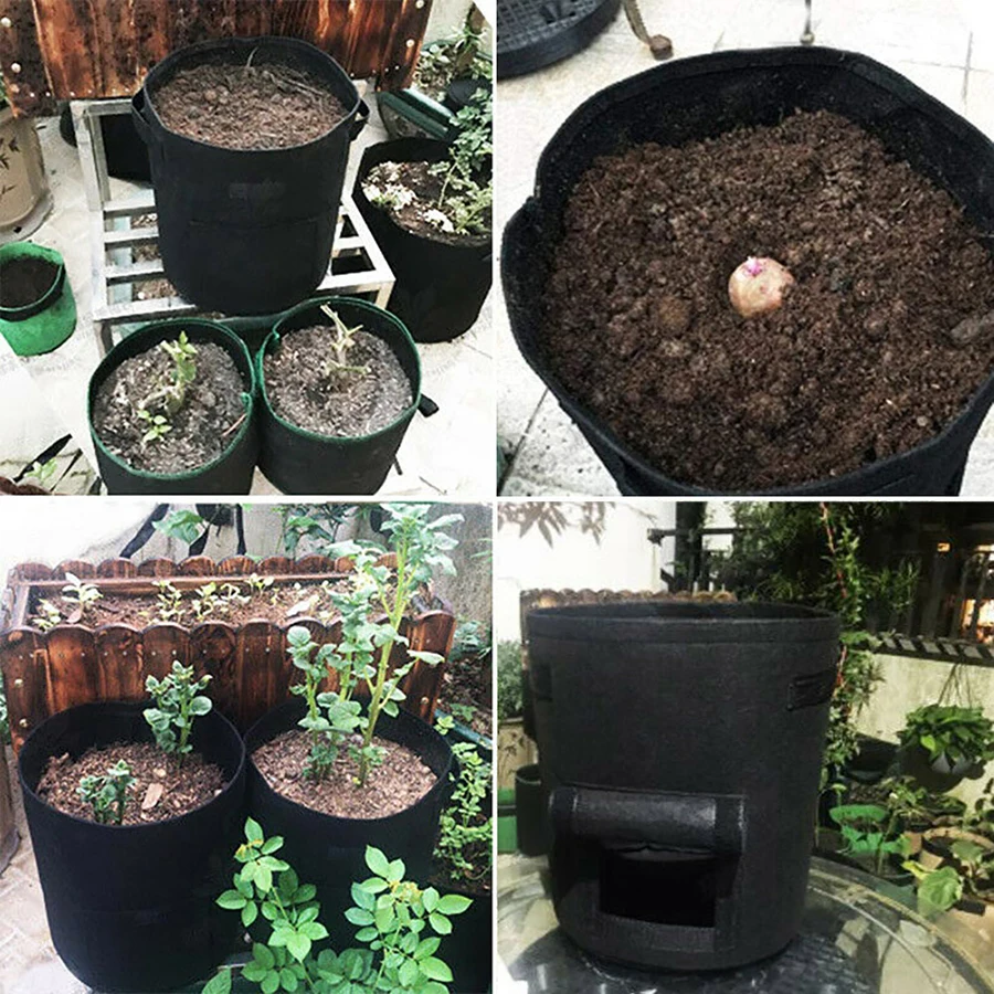 Plant Grow Bag 4 7 10 Gallon Home Garden Potato Pot Vegetable Growing Bags Moisturizing Jardin Fabric Garden Grow Bags Seedling
Plant Grow Bag 4 7 10 Gallon Home Garden Potato Pot Vegetable Growing Bags Moisturizing Jardin Fabric Garden Grow Bags Seedling