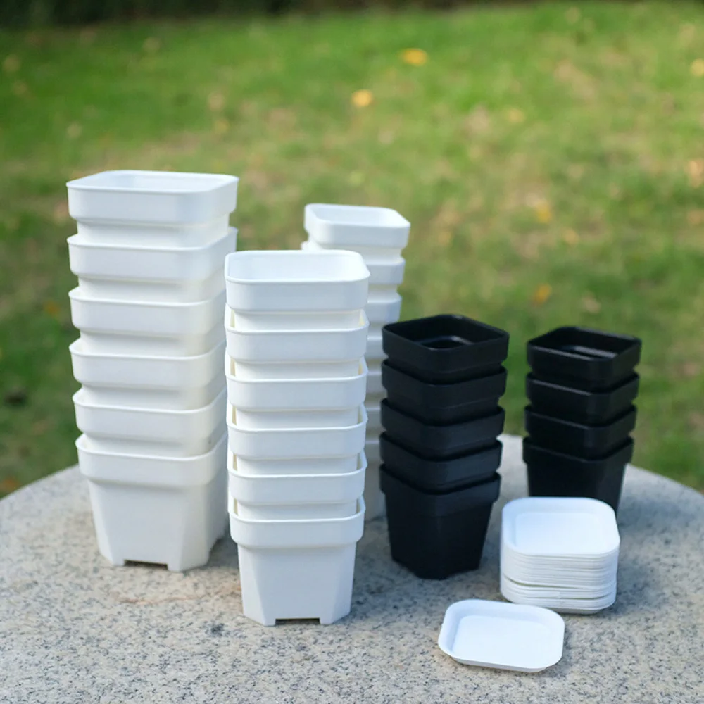 2pcs Square Plant Pots Planters Black/White Plastic Pot Nursery Gardening Plants Succulents Flower Seed Grow Container
2pcs Square Plant Pots Planters Black/White Plastic Pot Nursery Gardening Plants Succulents Flower Seed Grow Container