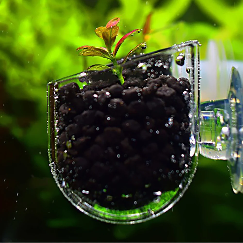 Creative Aquarium Fish Tank Glass Plant Cup Red Worm Feeding Container Holder Aquarium accessories decorative planting cup
Creative Aquarium Fish Tank Glass Plant Cup Red Worm Feeding Container Holder Aquarium accessories decorative planting cup