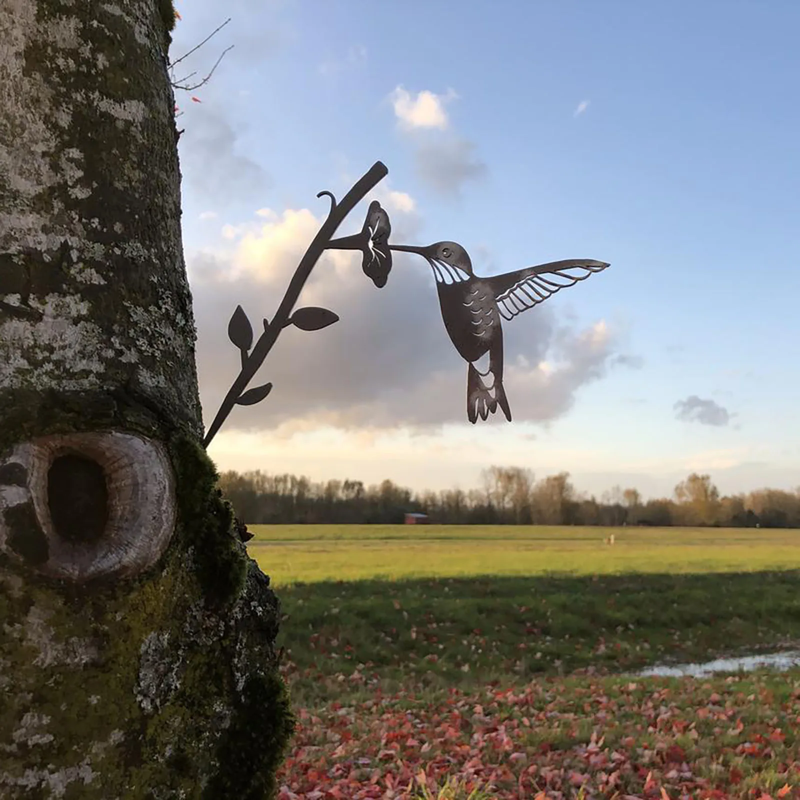 Hummingbird Metal Bird Art Decoration For Your Yard Or Tree Metal Art And Yard garden accessories
Hummingbird Metal Bird Art Decoration For Your Yard Or Tree Metal Art And Yard garden accessories