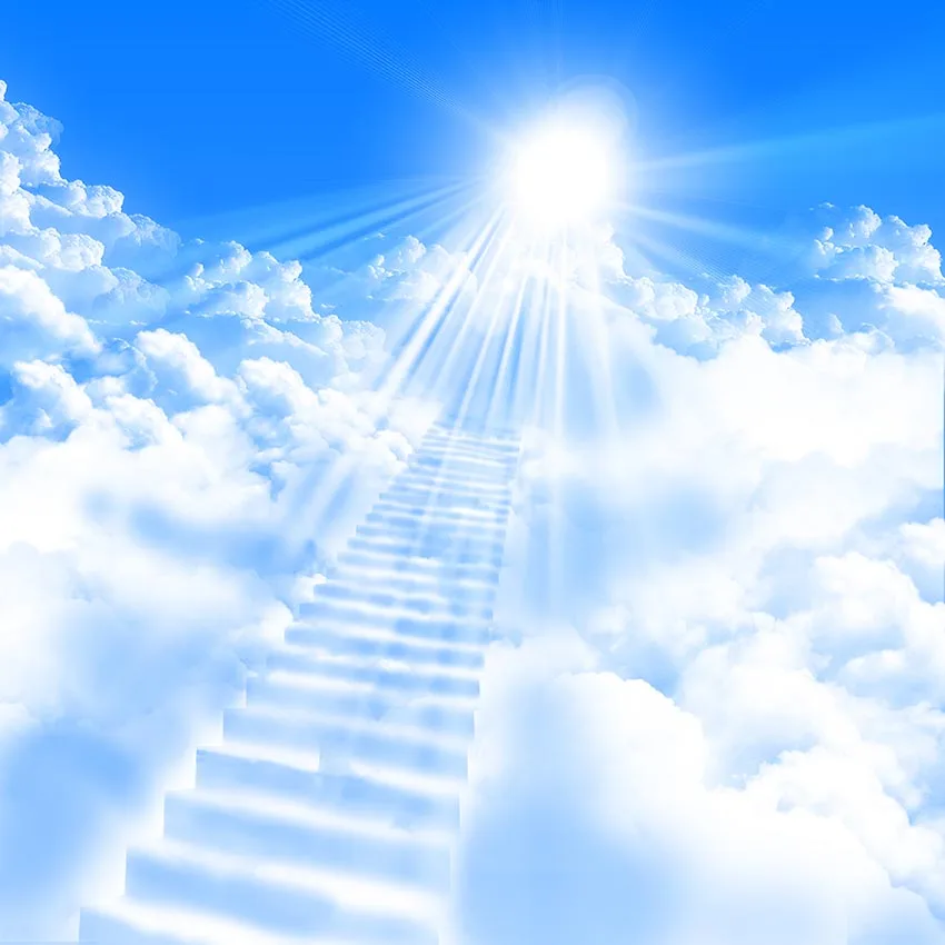 Stairway to Heaven Photography background vinyl white cloud fancy photo backdrop for Photographer Studio accessory funds lv-2571
Stairway to Heaven Photography background vinyl white cloud fancy photo backdrop for Photographer Studio accessory funds lv-2571