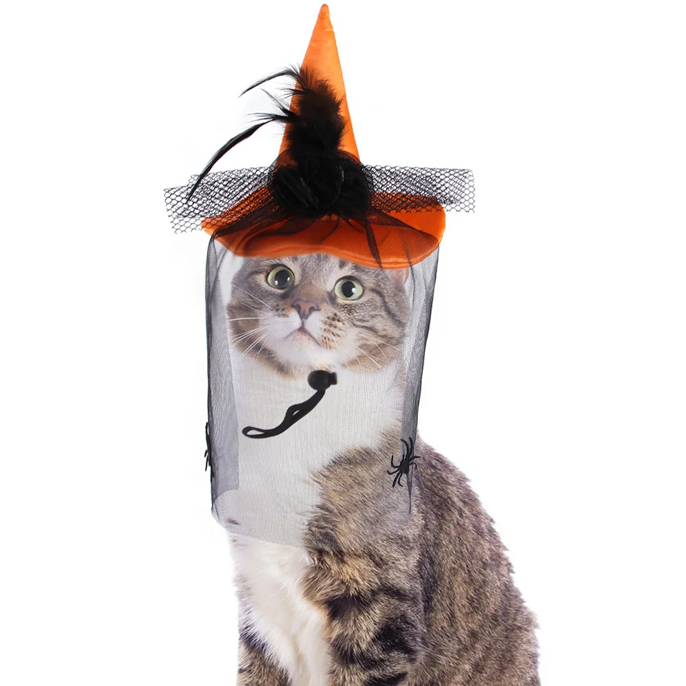Cat Hats New Products Pets Funny Headwear For Cats Halloween Hats Black Yarn Spider Headgear Funny Cat Pet Clothing Pet Supplies
Cat Hats New Products Pets Funny Headwear For Cats Halloween Hats Black Yarn Spider Headgear Funny Cat Pet Clothing Pet Supplies