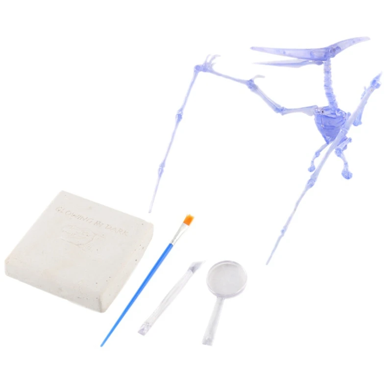 3D Dinosaur Fossil Digging Kit Archeology Dinosaur Skeleton Science Toy Gift Dinosaur Fossil Digging Kit
3D Dinosaur Fossil Digging Kit Archeology Dinosaur Skeleton Science Toy Gift Dinosaur Fossil Digging Kit