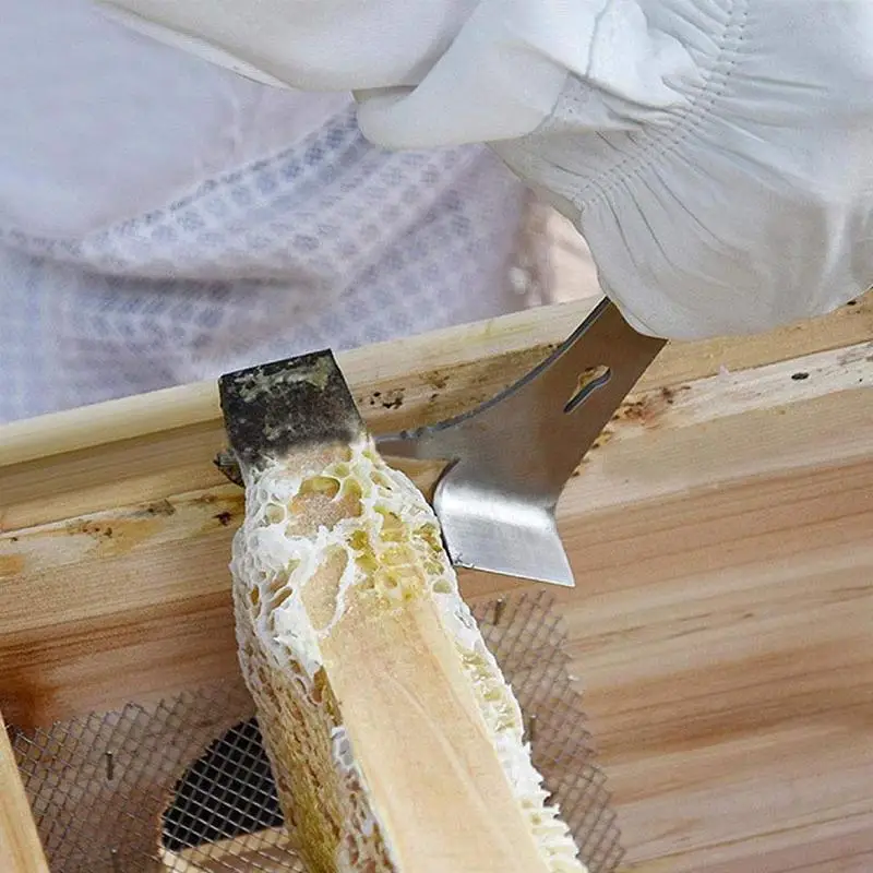 Bee Tools Steel Thumb Type Bee Honey Knife Bee Beekeeping Multifunctional Tool Scraper Hive Bee Scraper P4Q2
Bee Tools Steel Thumb Type Bee Honey Knife Bee Beekeeping Multifunctional Tool Scraper Hive Bee Scraper P4Q2