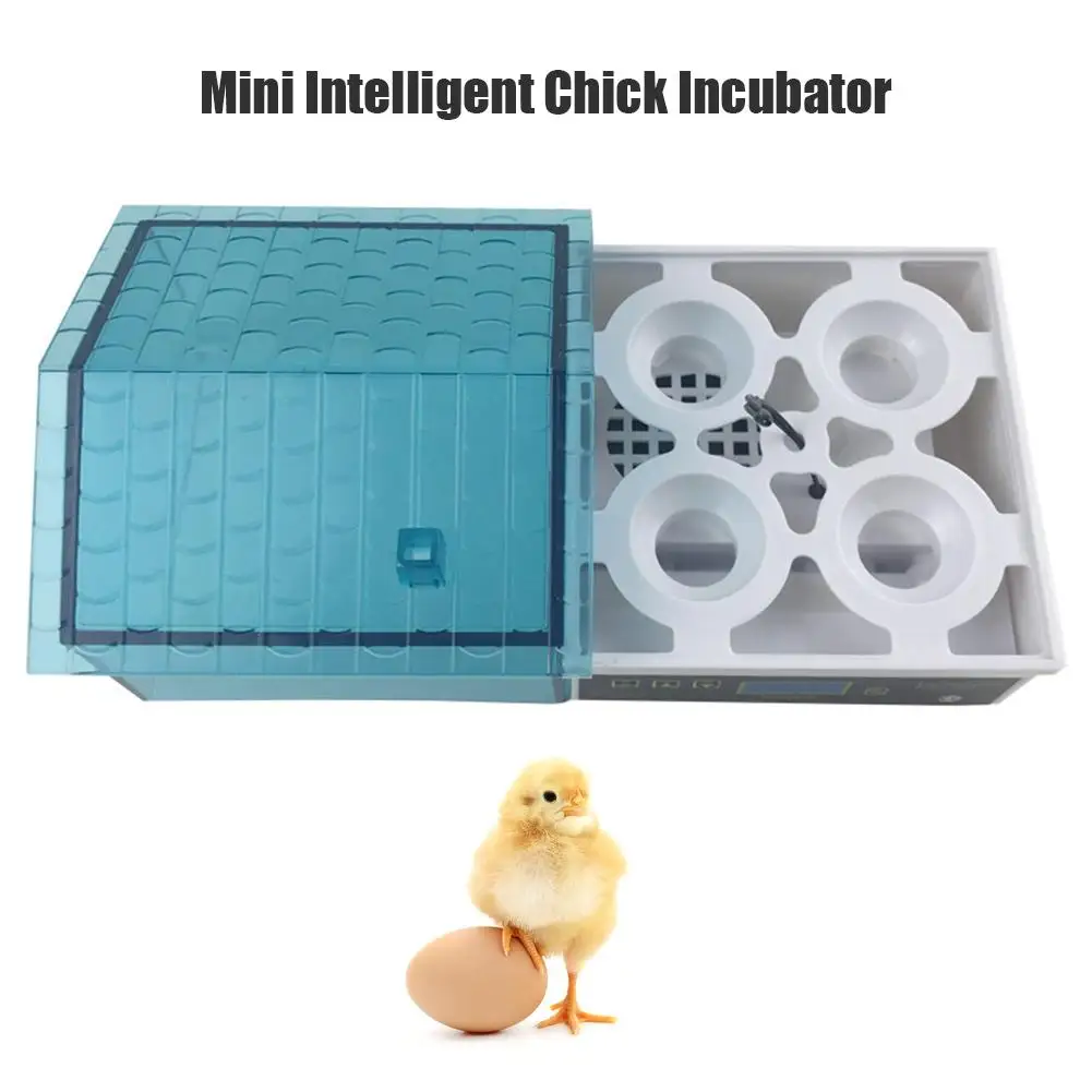 Digital Temperature Brooder 4 Mini Intelligent Incubator Hatcher for Chick Duck Suitable for Duck Donkey Parrot Bird
Digital Temperature Brooder 4 Mini Intelligent Incubator Hatcher for Chick Duck Suitable for Duck Donkey Parrot Bird