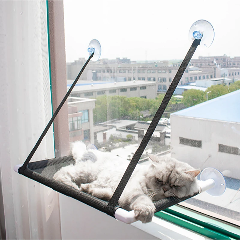 Pet Cat Hammock For Cats Basking Window Mounted Seat Cat Hammocks Suction Cup Hanging Lounge Comfortable Hammock For Cats Bed
Pet Cat Hammock For Cats Basking Window Mounted Seat Cat Hammocks Suction Cup Hanging Lounge Comfortable Hammock For Cats Bed