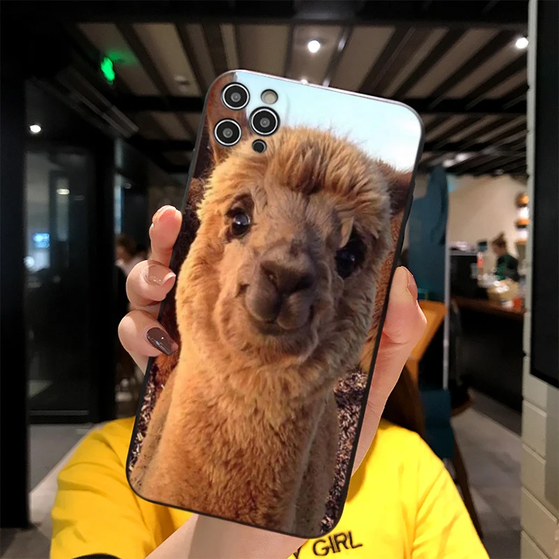 For iPhone Giraffe Family Print Soft Matt Apple Case 6 7 8 11 12 Plus Pro X XR MAX 2021 Cover
For iPhone Giraffe Family Print Soft Matt Apple Case 6 7 8 11 12 Plus Pro X XR MAX 2021 Cover