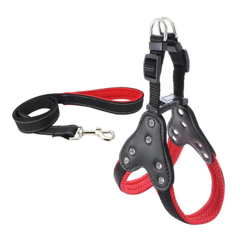 Explosion Proof Dog Harness Leash Set Adjustable Nylon Mesh Pet Harness For Dogs Shining Rhinestone Walking Runing Dogs Product
Explosion Proof Dog Harness Leash Set Adjustable Nylon Mesh Pet Harness For Dogs Shining Rhinestone Walking Runing Dogs Product