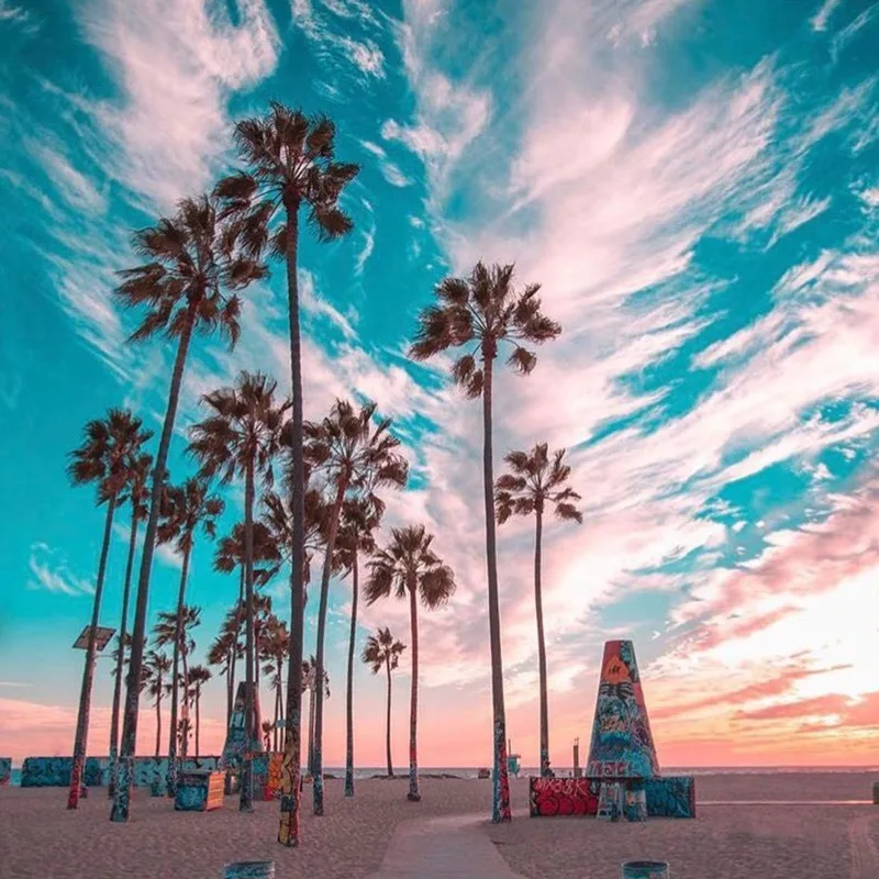 Sexy Patchwork Print One Piece Swimsuit Closed Female Swimwear Push Up Body Women's Swimming Bathing Suit Beach Pool Bather 2021
Sexy Patchwork Print One Piece Swimsuit Closed Female Swimwear Push Up Body Women's Swimming Bathing Suit Beach Pool Bather 2021