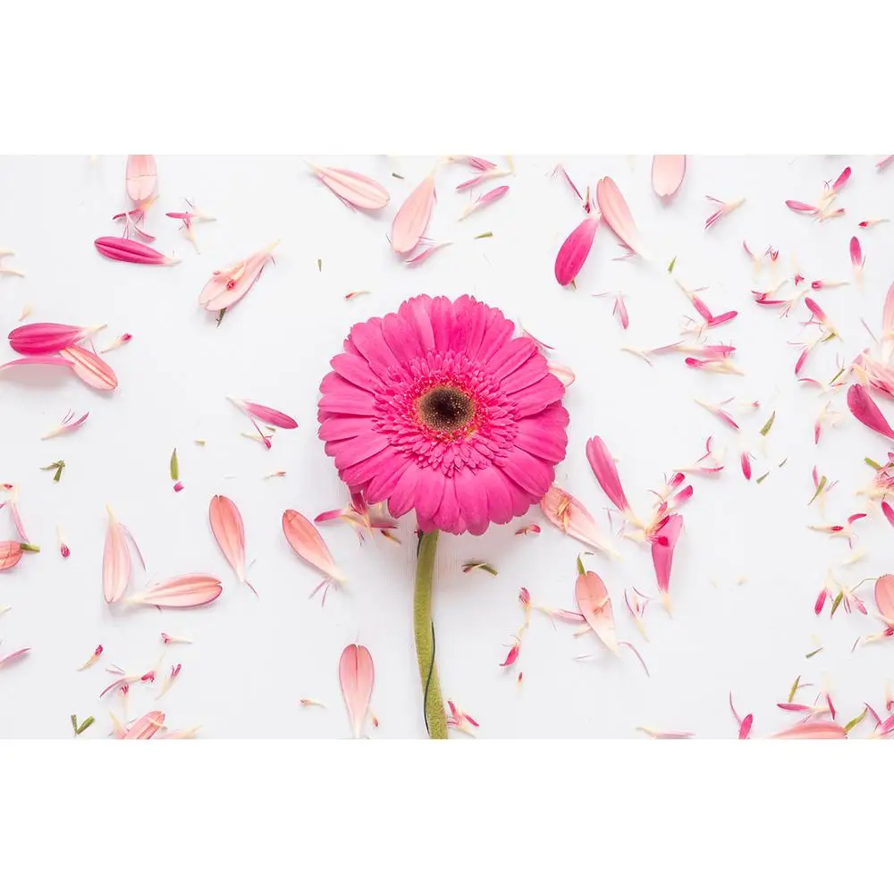 SHENGYONGBAO Vinyl Custom Photography Backdrops Prop Flower and Wooden Planks Theme Photography Background 191024ST-0004 
SHENGYONGBAO Vinyl Custom Photography Backdrops Prop Flower and Wooden Planks Theme Photography Background 191024ST-0004