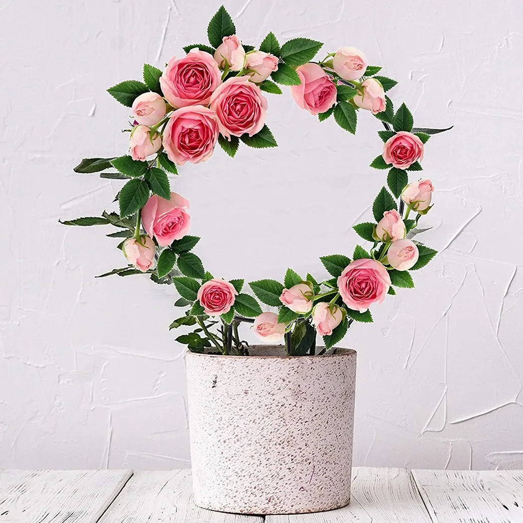 Climbing Vine Rack Heart/Round Shaped Plant Potted Support Frame Plastic Coated Steel Flower Vegetables Decor Trellis Bracket
Climbing Vine Rack Heart/Round Shaped Plant Potted Support Frame Plastic Coated Steel Flower Vegetables Decor Trellis Bracket