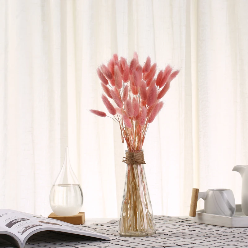 20Pcs Natural Dried Flowers Raw Color Rabbit Tail Grass Bunch Real Flower Bouquet For Home Wedding Decoration Florist Supplies
20Pcs Natural Dried Flowers Raw Color Rabbit Tail Grass Bunch Real Flower Bouquet For Home Wedding Decoration Florist Supplies