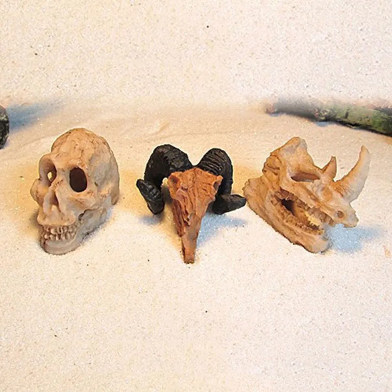 Aquarium Resin Rhinoceros Horned Skull Goat-Head Shape Fish Tank Ornament Spider Scorpion Lizard Aquarium Shelter in Decorations
Aquarium Resin Rhinoceros Horned Skull Goat-Head Shape Fish Tank Ornament Spider Scorpion Lizard Aquarium Shelter in Decorations