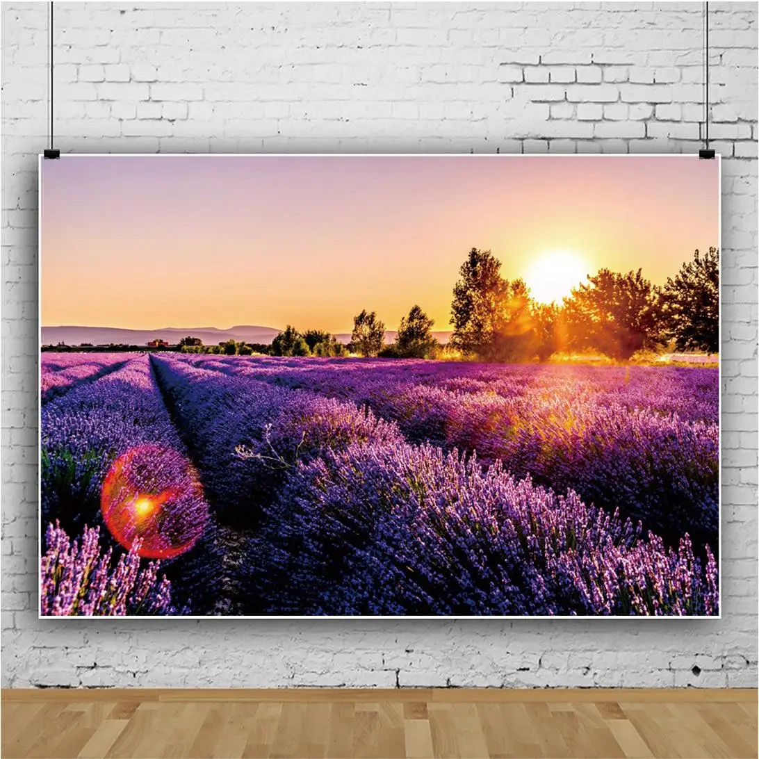 Sunset Over The Sea of Purple Lavender Flowers Portrait Photography Backdrop Decor For Photo Background Studio Photocall Props
Sunset Over The Sea of Purple Lavender Flowers Portrait Photography Backdrop Decor For Photo Background Studio Photocall Props