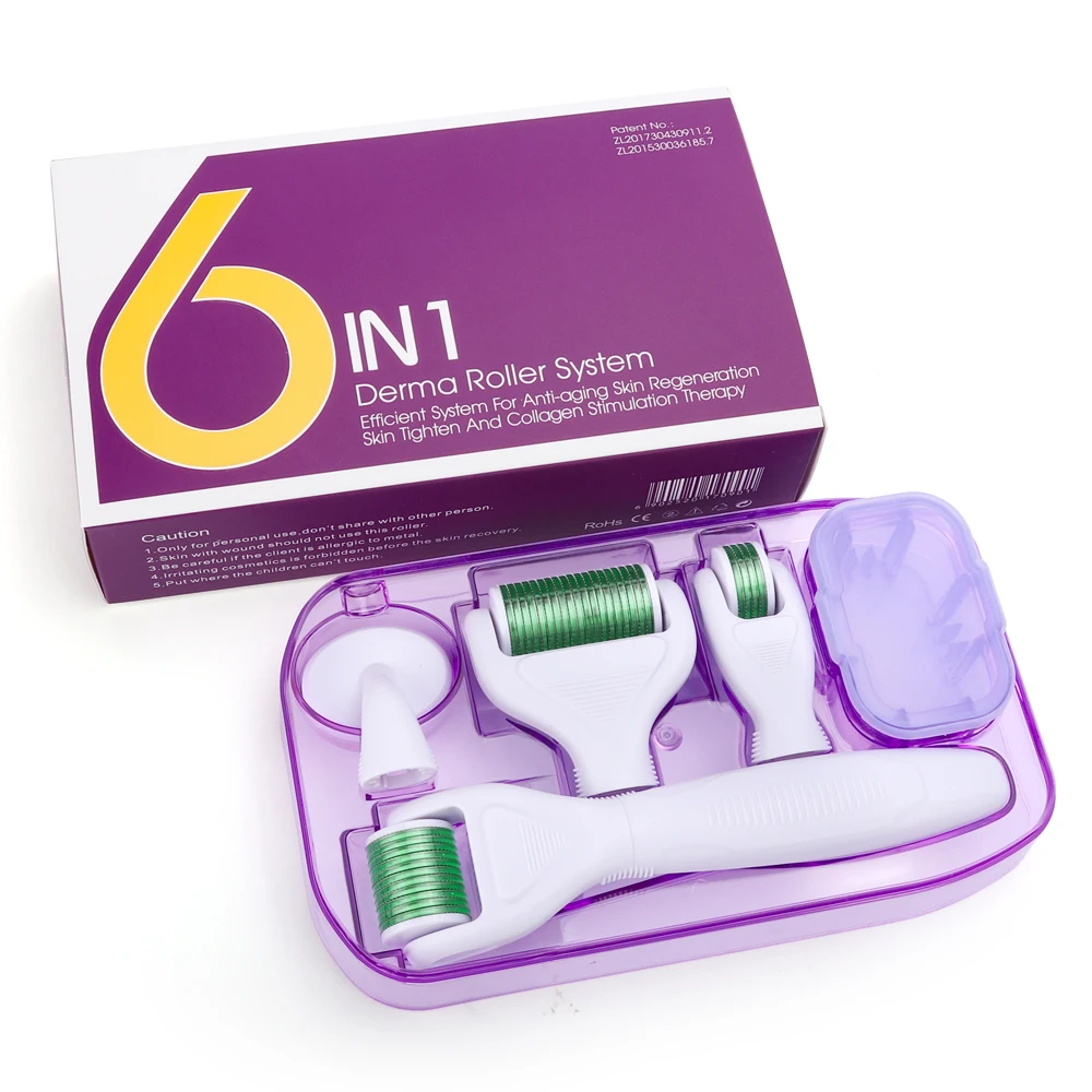6 In 1 Microneedle Derma Roller Kit for Face Body 300/720/1200 Dermaroller Micro Needle Facial Massager Roller Face Skin Care
6 In 1 Microneedle Derma Roller Kit for Face Body 300/720/1200 Dermaroller Micro Needle Facial Massager Roller Face Skin Care
