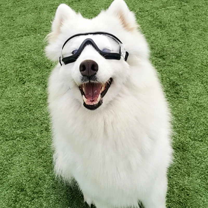 Pet's Glasses 2021 Dog's Sunglasses Cat Wander Hiking Camping Fashion Parts Goggle Beach Poc Equipment Fishing Accessories очки
Pet's Glasses 2021 Dog's Sunglasses Cat Wander Hiking Camping Fashion Parts Goggle Beach Poc Equipment Fishing Accessories очки