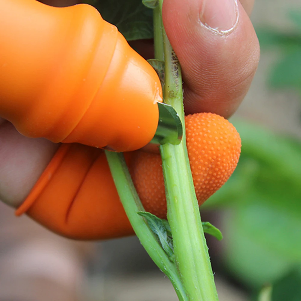 Pruning Shears Garden Fruit Vegetable Picking Thumb Cutter Separator Fast Picking Plant Pick Finger Knife Gardening Tools
Pruning Shears Garden Fruit Vegetable Picking Thumb Cutter Separator Fast Picking Plant Pick Finger Knife Gardening Tools