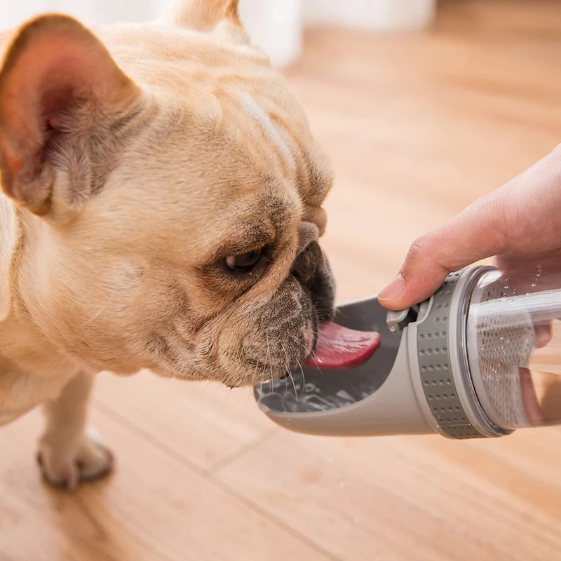 Outdoor Pet Water Bottle Dog Drinking Bowl Cat Bottle Portable Travel Feed Plate Walking Puppy Suppliers 350 ML
Outdoor Pet Water Bottle Dog Drinking Bowl Cat Bottle Portable Travel Feed Plate Walking Puppy Suppliers 350 ML