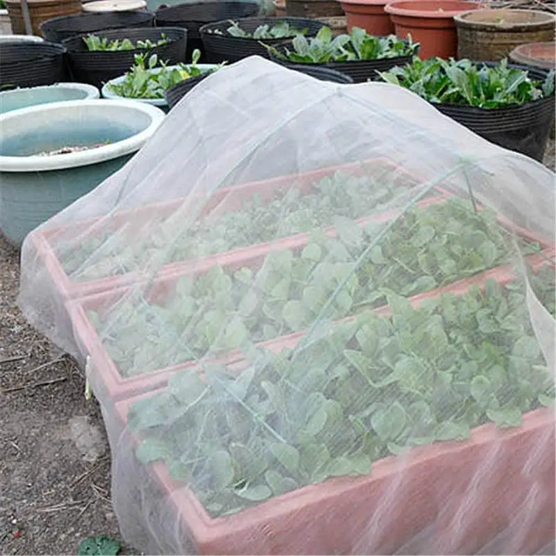 1*2m Vegetable Netting Mesh Insect Mosquito Anti Bird Net Garden Crop Vegetable Protection Fine Mesh Cloth
1*2m Vegetable Netting Mesh Insect Mosquito Anti Bird Net Garden Crop Vegetable Protection Fine Mesh Cloth
