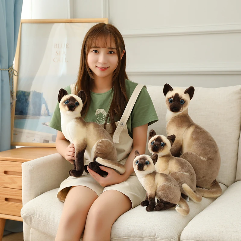 Lifelike American Shorthai Kitty Siamese Cat Plush Toys Cute Stuffed Simulation Animal Doll Children Home Decor Baby Gift
Lifelike American Shorthai Kitty Siamese Cat Plush Toys Cute Stuffed Simulation Animal Doll Children Home Decor Baby Gift
