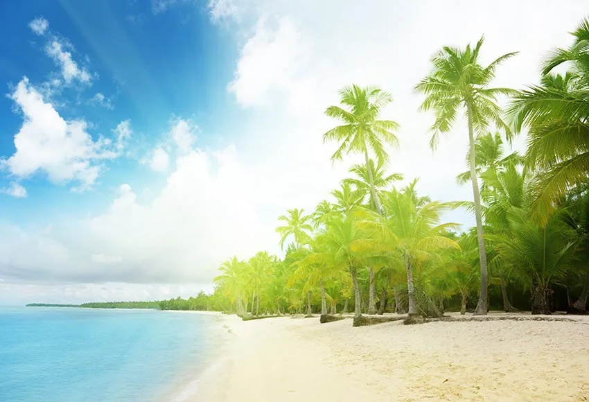 Фон для студийной фотосъемки с изображением моря пляжа деревьев солнечного света
Фон для студийной фотосъемки с изображением моря пляжа деревьев солнечного света