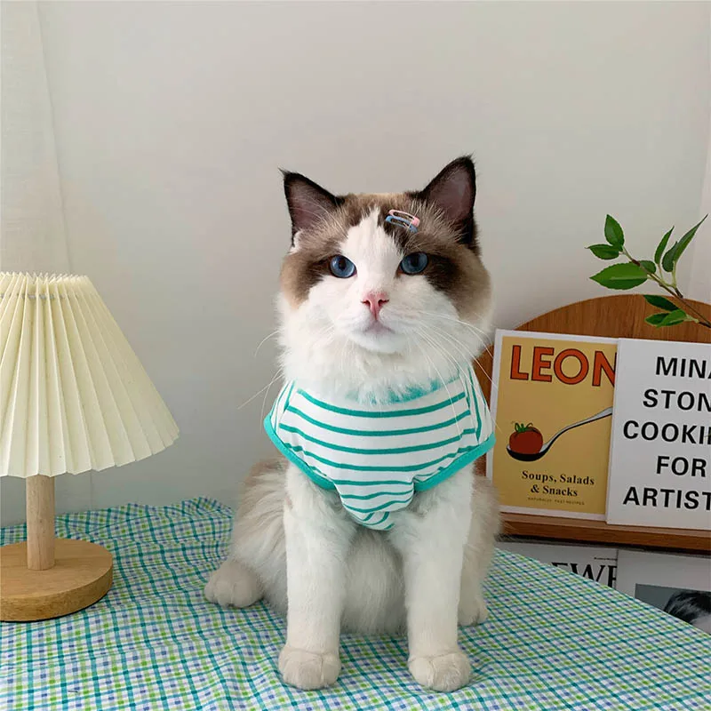 Cat Clothes Autumn Winter Pet Clothing For Small Cats Dogs Cotton Cat Costumes Soft Kitten Kitty Coat Jacket Puppy Outfit York
Cat Clothes Autumn Winter Pet Clothing For Small Cats Dogs Cotton Cat Costumes Soft Kitten Kitty Coat Jacket Puppy Outfit York