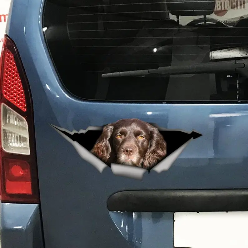 2021 Brown cocker spaniel car decal, cocker spaniel magnet, brown cocker spaniel sticker, car decal
2021 Brown cocker spaniel car decal, cocker spaniel magnet, brown cocker spaniel sticker, car decal