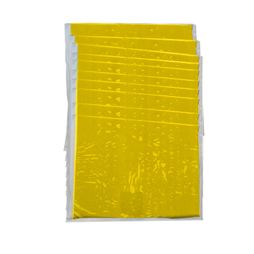 10pcs Double-Sided Fly Bug Traps Sticky Bug Fly Stickers Catching Aphid Insects for Outdoor Garden Supplies
10pcs Double-Sided Fly Bug Traps Sticky Bug Fly Stickers Catching Aphid Insects for Outdoor Garden Supplies